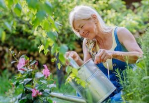 Senior woman waters plants in her garden.